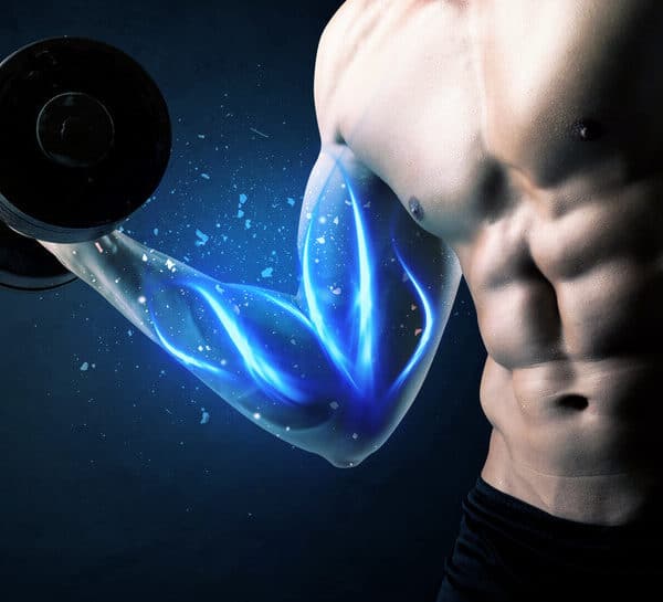 Les lipides pour la musculation