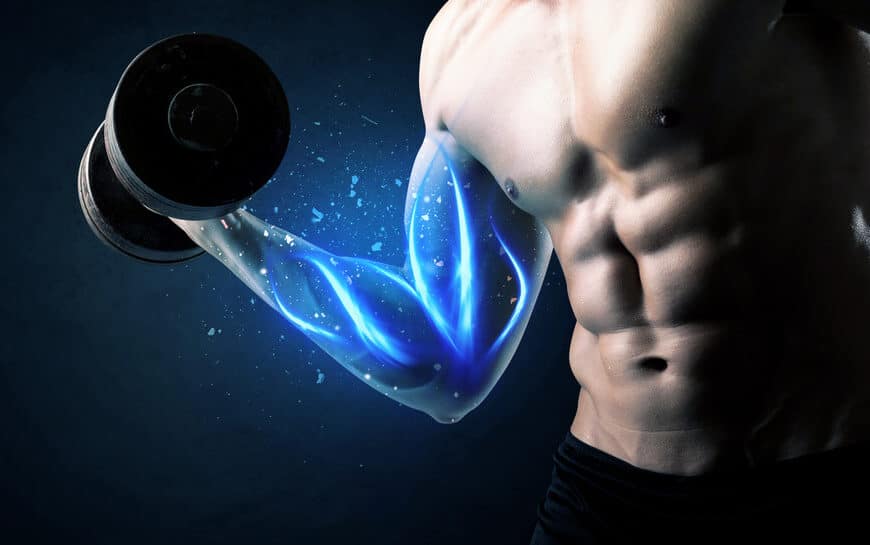 Les lipides pour la musculation