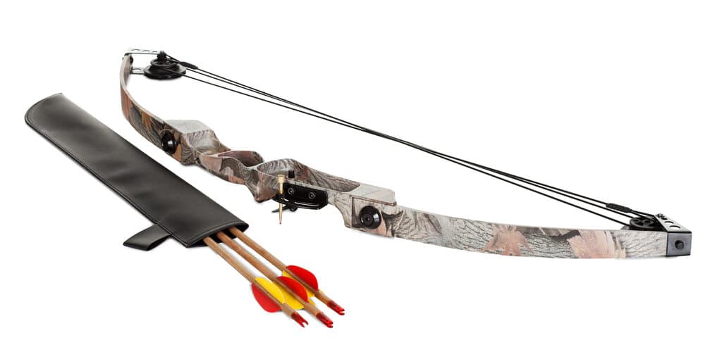 Comment Choisir le Meilleur Arc : Comparatif et Guide