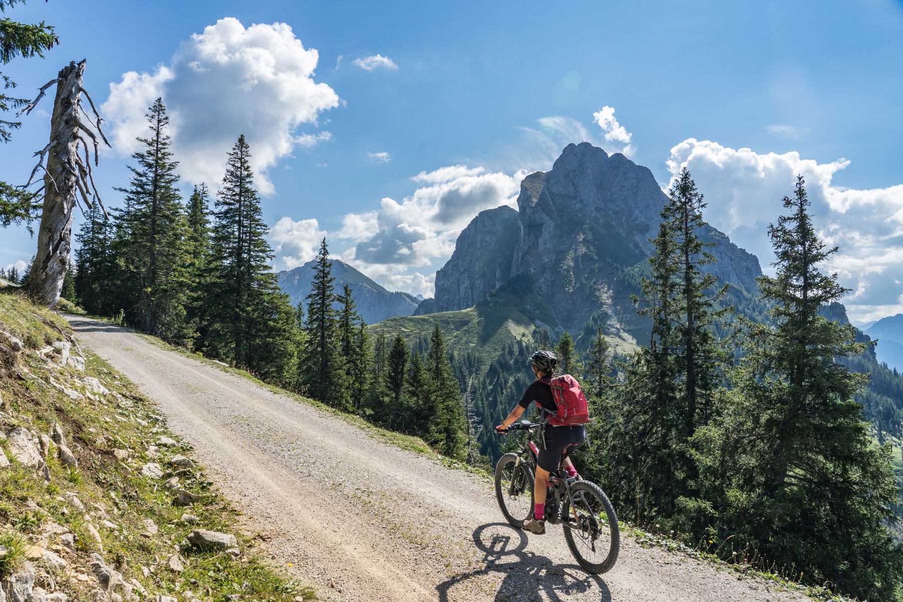 vélo électrique enduro montagne